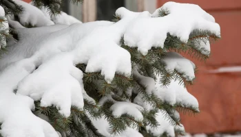 Заваливающий Калужскую область снег синоптики назвали аномальным