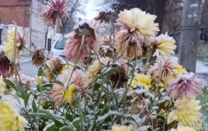 В Калужской области началась холодная неделя В Калужской области началась холодная неделя