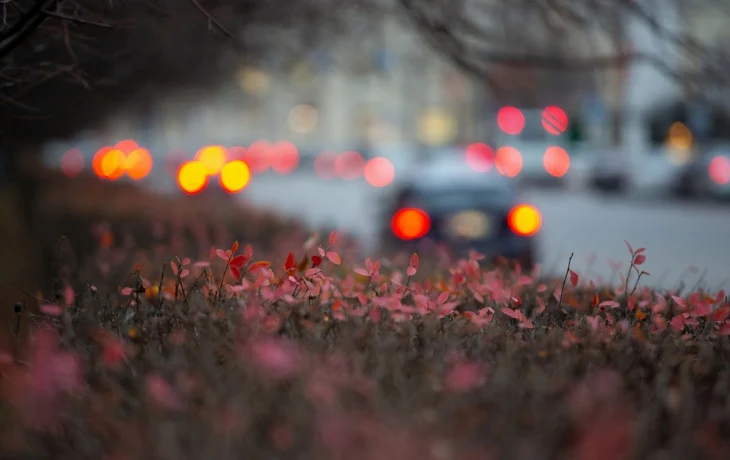 Эвакуация за 4 тысячи: в Калужской области утвердили тарифы на штрафстоянки и эвакуацию авто