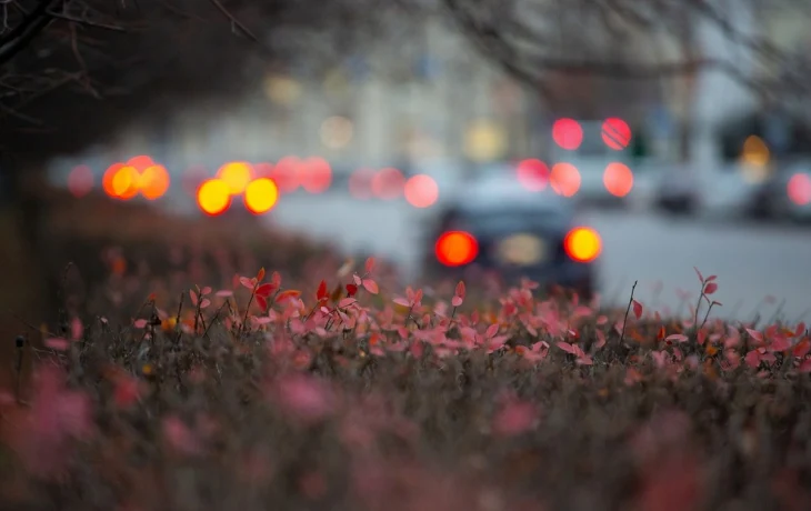 Калужские учёные и медик удостоились высоких госнаград от Путина