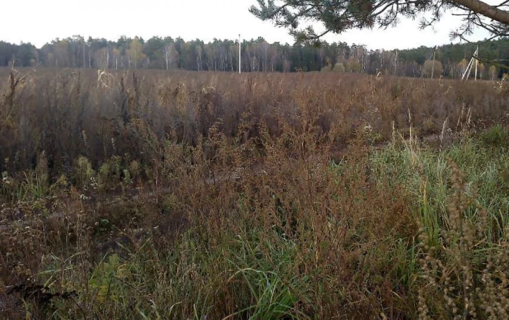 Калужское предприятие оштрафовано за заброшенные земли Калужское предприятие оштрафовано за заброшенные земли