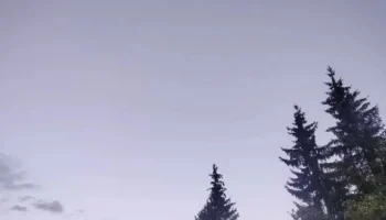 Еще три БПЛА уничтожены над Калужской областью 12 декабря