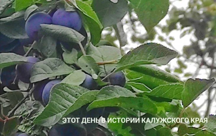 Дмитрий Денисов, в кабинете которого прошли обыски СКР, возвращен на прежнюю должность: этот день в 