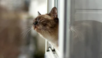 С тех пор, как появились прогнозы погоды, с ней стало твориться что-то непонятное&hellip; Представляем прог