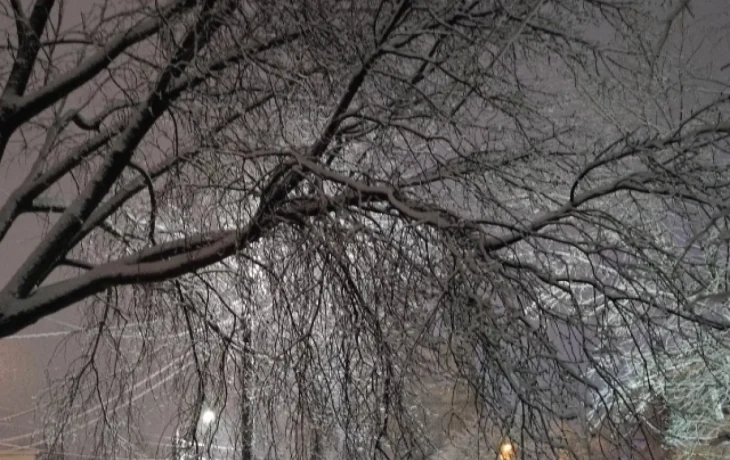 В Калуге прогнозируют снегопад В Калуге прогнозируют снегопад