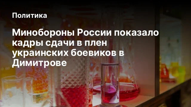 Минобороны России показало кадры сдачи в плен украинских боевиков в Димитрове