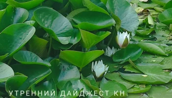 Калужские акулы бизнеса не платят за газ: этот день в истории Калужской области