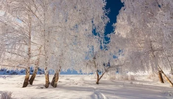 Этой зимой я легко встаю с первыми лучами солнца. Представляем прогноз на 11 января в Калуге