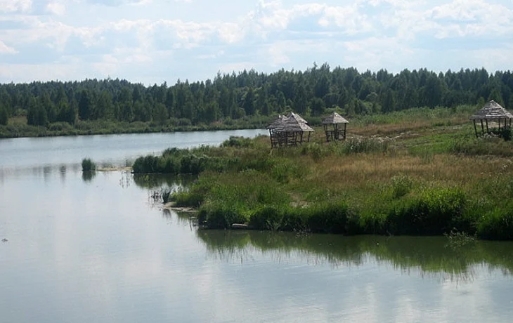 Мурачевский пруд Мурачевский пруд
