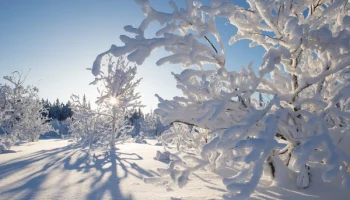 А у Вас никогда не было ощущения, что погода подыгрывает вашему настроению? Представляем прогноз на 