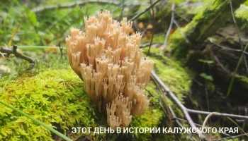 К Артамонову пришел волосатый парень в рваных джинсах: этот день в истории Калужской области