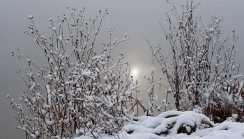 Аномальные морозы ожидаются в Калужской области