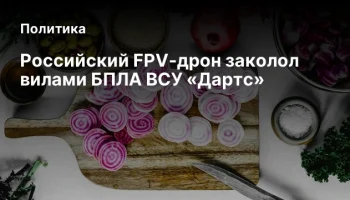 Российский FPV-дрон заколол вилами БПЛА ВСУ &laquo;Дартс&raquo;