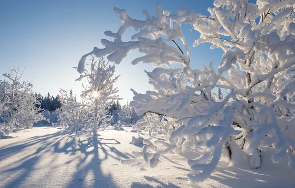 А у Вас никогда не было ощущения, что погода подыгрывает вашему настроению? Представляем прогноз на 