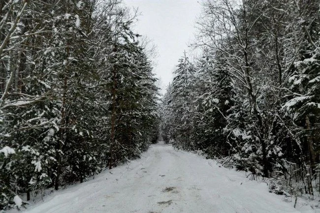 Беспилотную опасность объявляли ночью в Калужской области