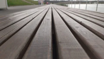 В Калужской области установлена охранная зона для памятника природы &laquo;Лесной массив &laquo;Черничники&raquo;