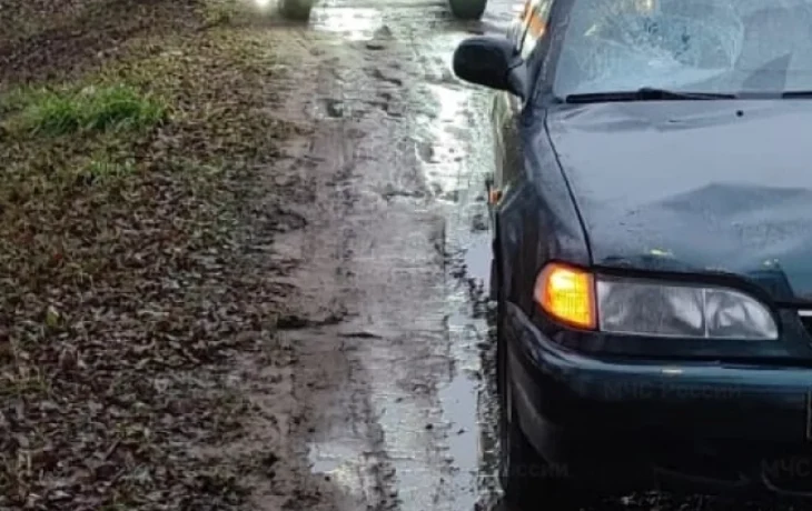 В Жукове иномарка наехала на пешехода