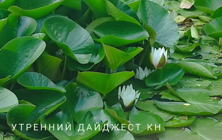 Калужские акулы бизнеса не платят за газ: этот день в истории Калужской области